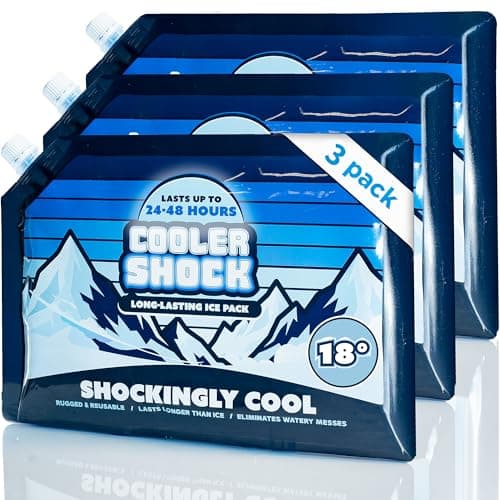 Cooler Shock Reusable Ice Packs, Large