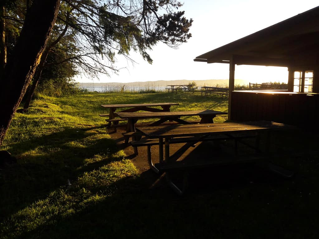 A folding table set up at a campsite