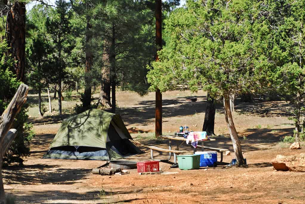 A family tent pitched at a campground site with trees behind it