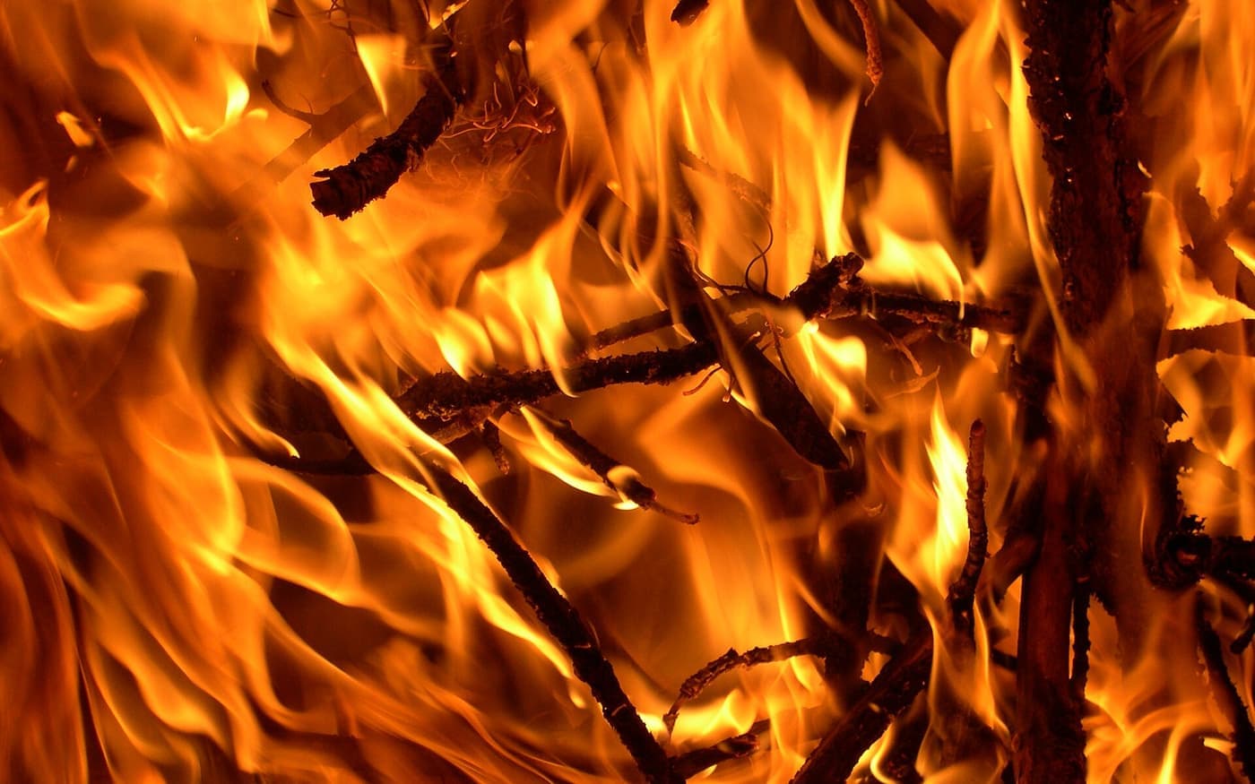 A campfire burning down into embers