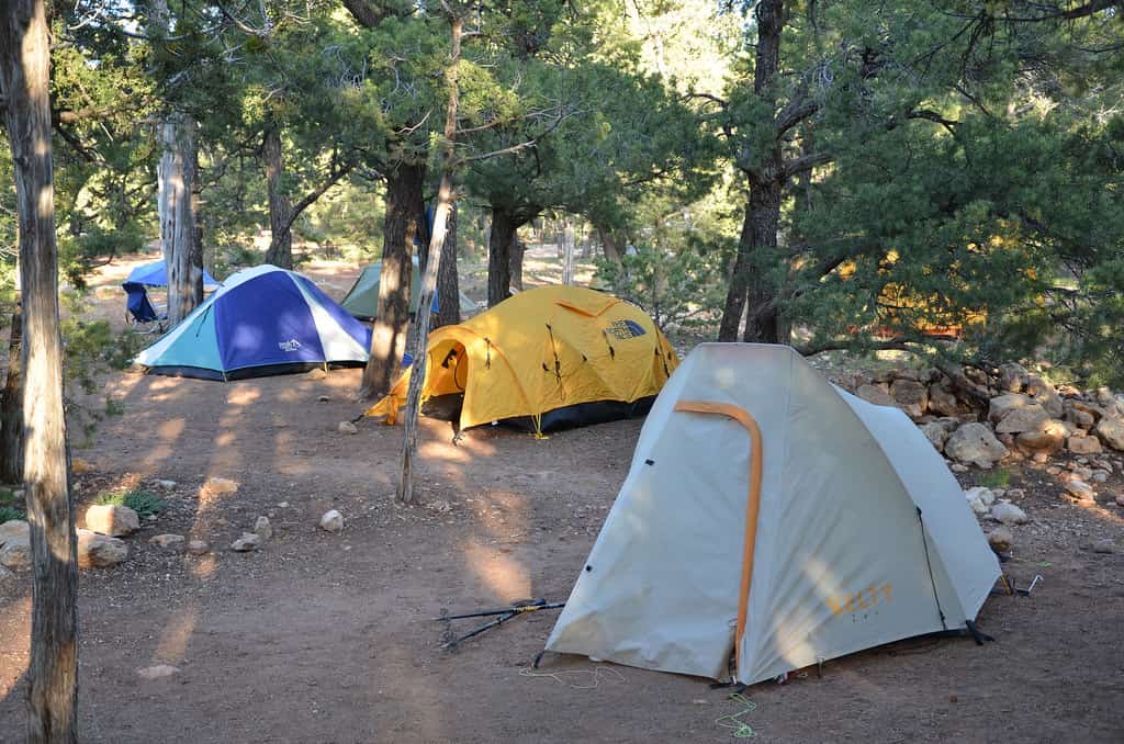 Two tents pitched side by side at a campground