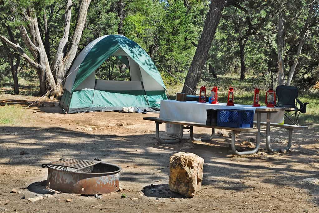 Children playing at a family campsite