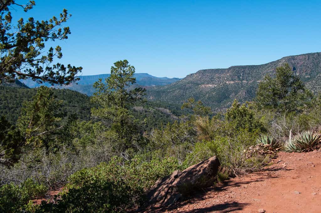 A backpacker on a trail with a loaded pack
