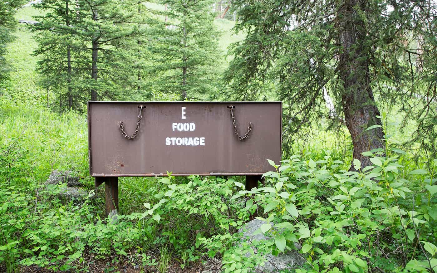 A bear-resistant metal food storage box at a forest campground
