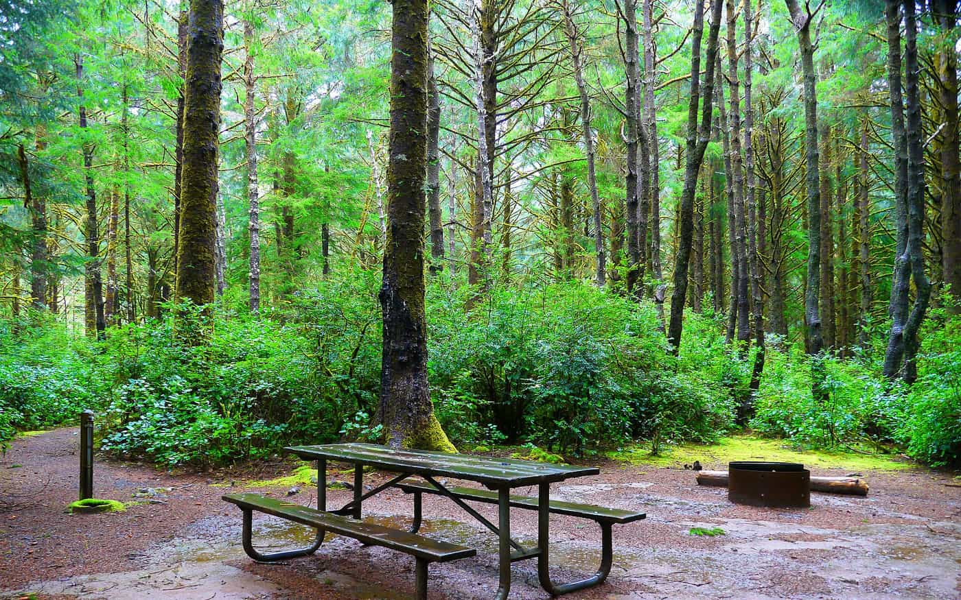 A forest campsite with a picnic table and fire ring