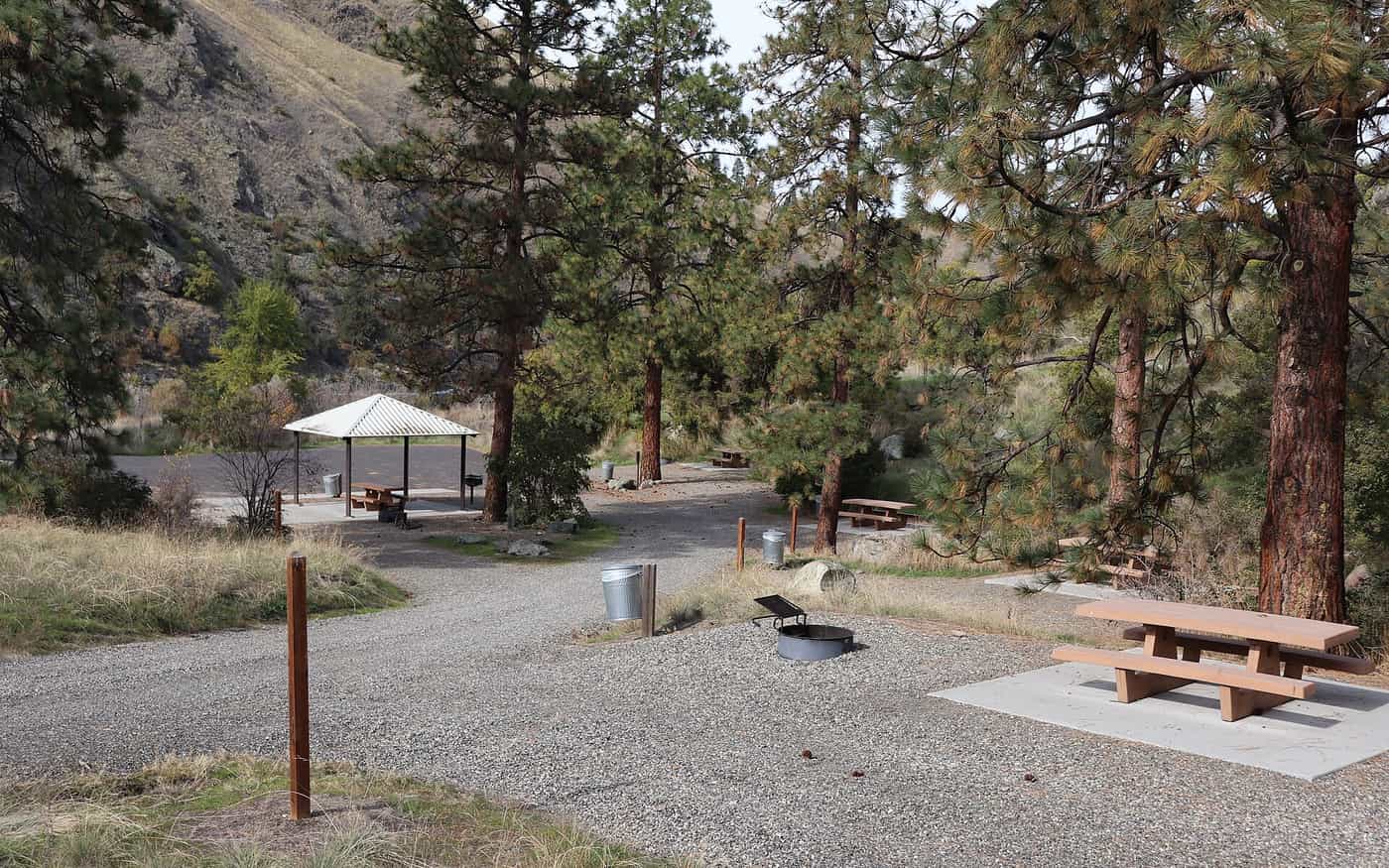 A riverside campground with fire rings, picnic tables and pines