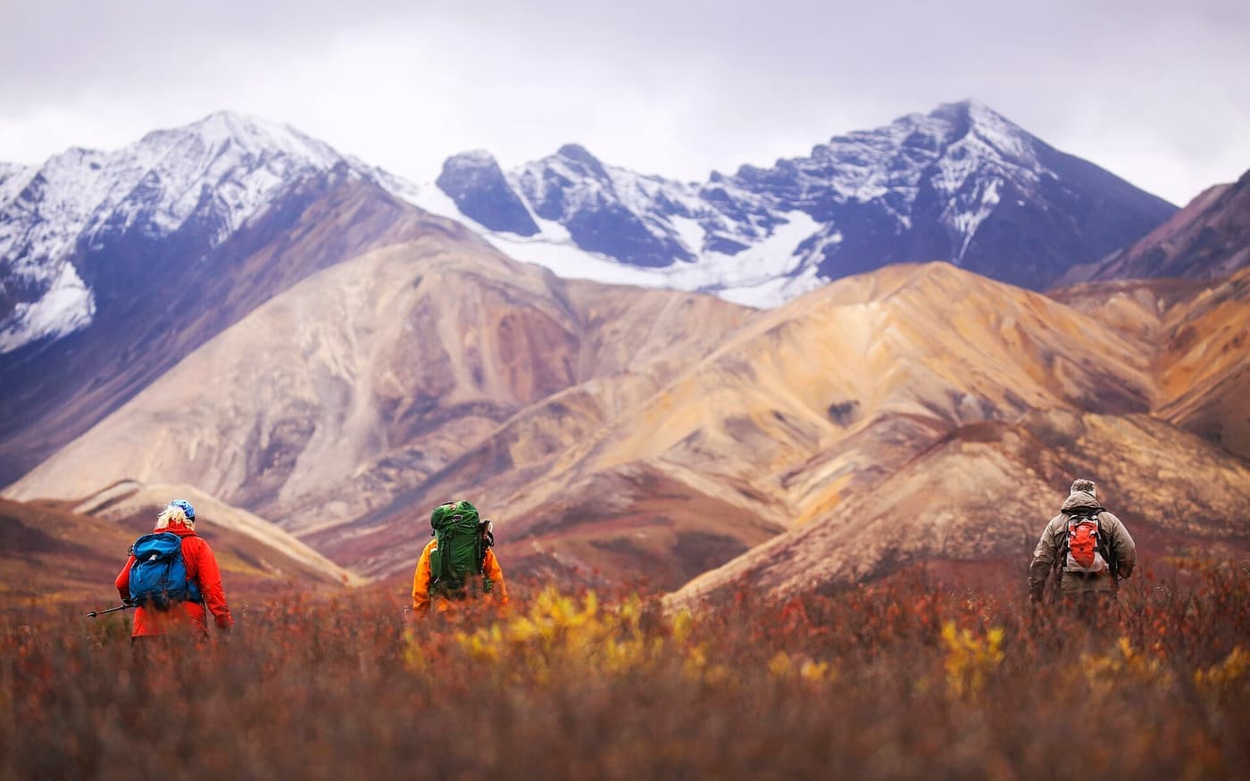 Three hikers in bright shell jackets crossing autumn tundra below snowy peaks