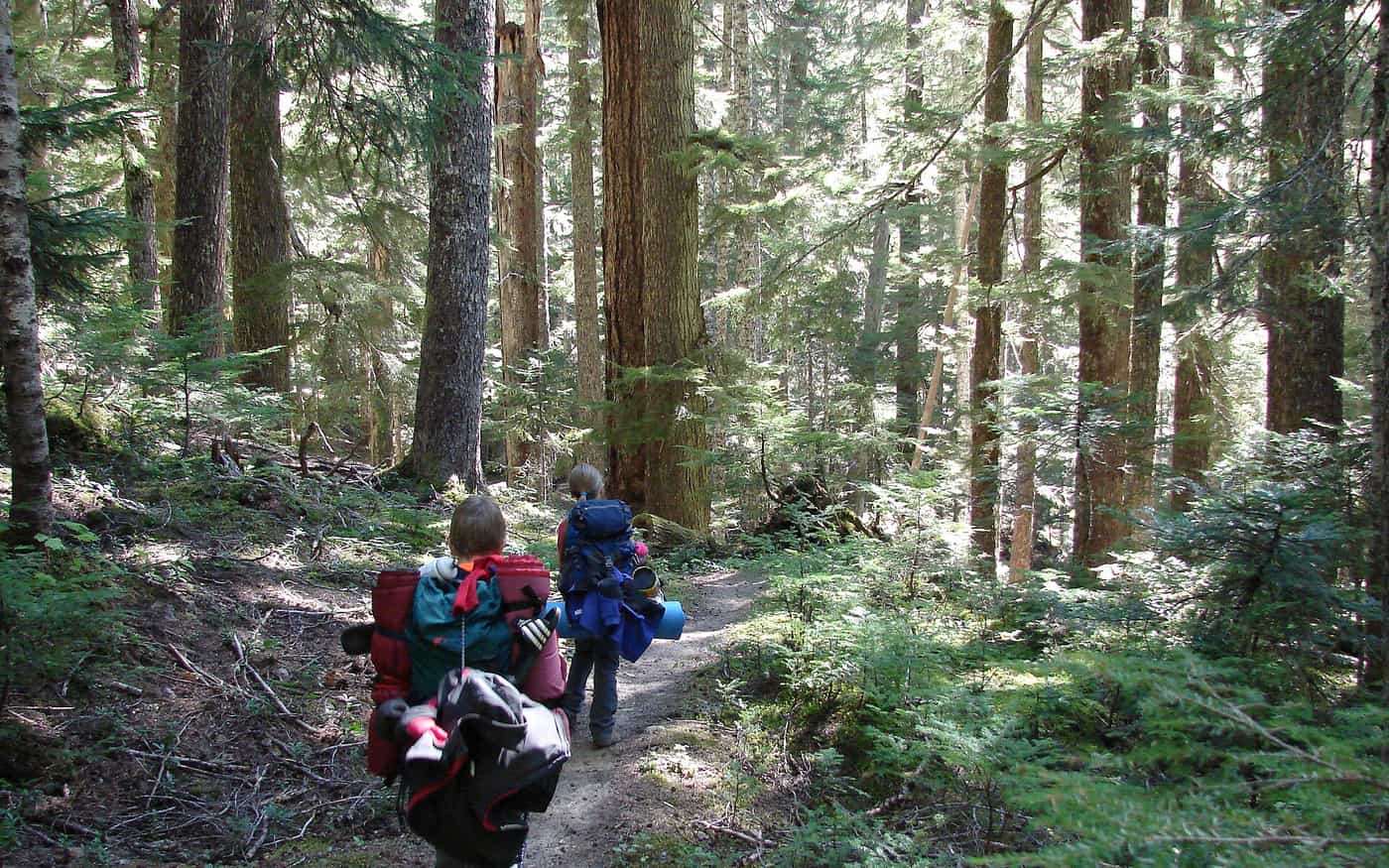 Two young backpackers walking a forest trail with loaded packs